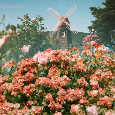 凯时ag旗舰厅-登录入口