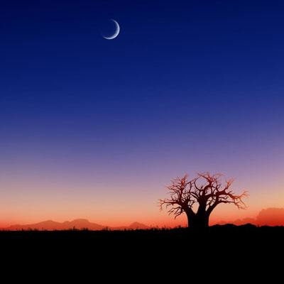 斗牛游戏大厅截图