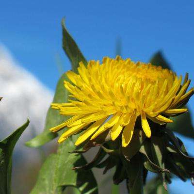 BOB体育最新版本下载截图