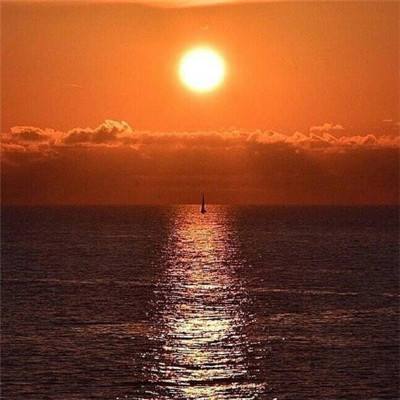 小罗代言米乐体育app手机app下载