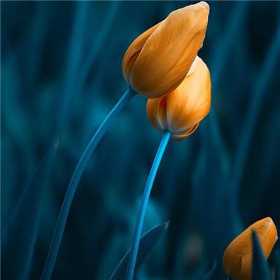 华体会体育下载手机版